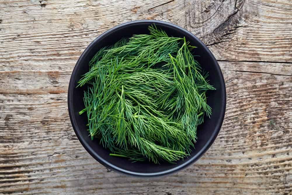 Fresh-Dill-Leaves-in-a-Black-Bowl-3-23-4.jpg