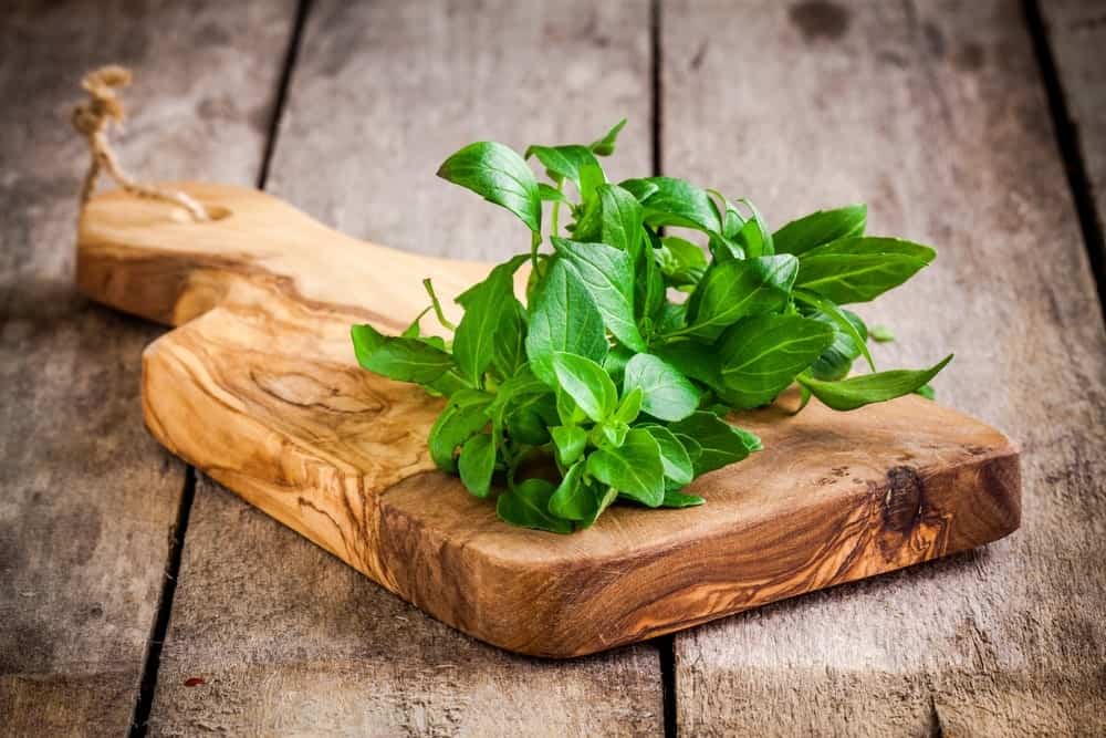 Fresh-Organic-Basil-Leaves-4-23-4.jpg