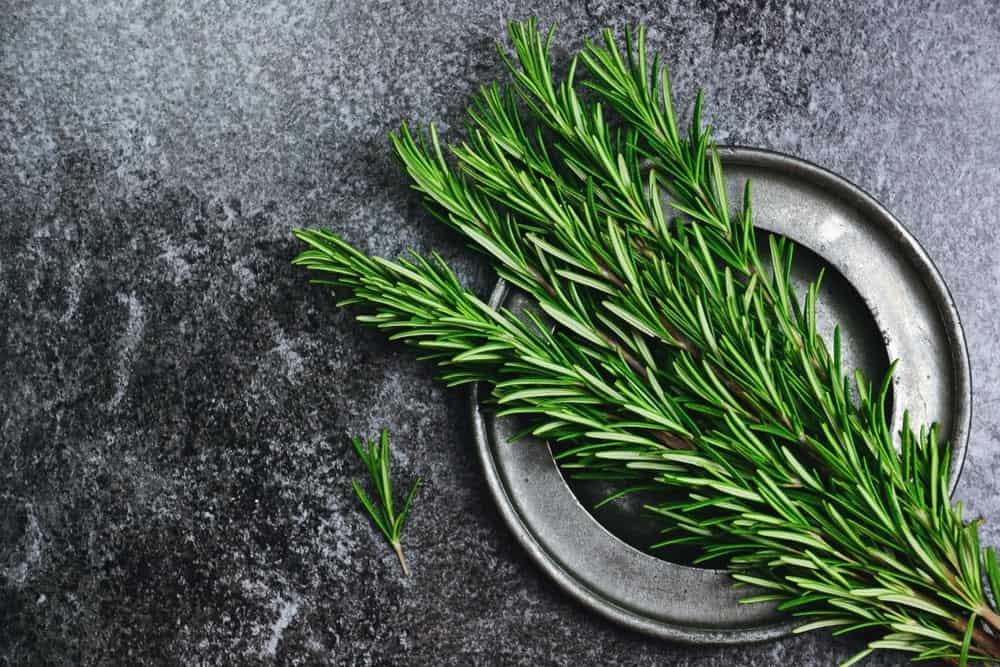 Fresh-Rosemary-Herb-Leaves-6-23-4.jpg