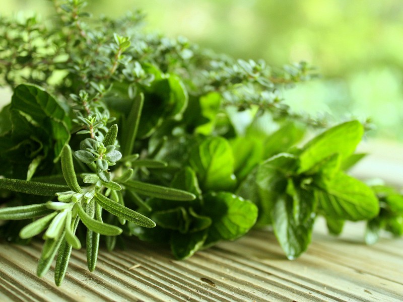 healthy-herbs-800x6001.jpg